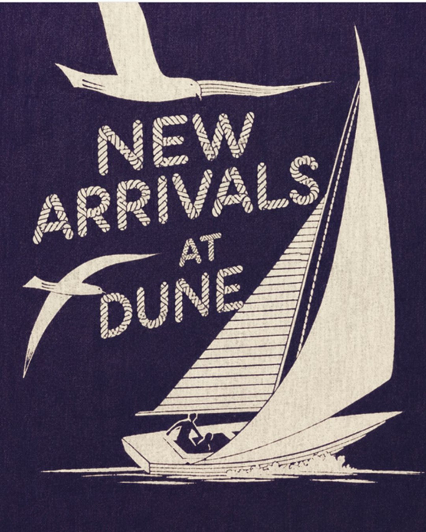 New Arrivals at Dune illustrated sailing poster